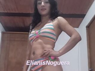 ElianisNoguera