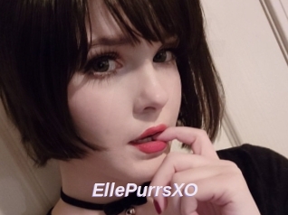 EllePurrsXO