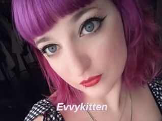 Evvykitten