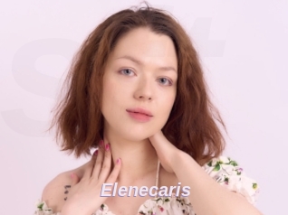 Elenecaris