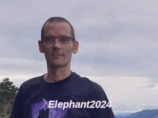 Elephant2024