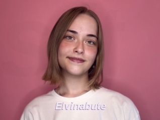 Elvinabute