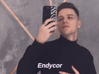 Endycor