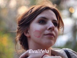 Evalifelu