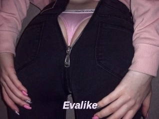 Evalike