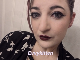 Evvykitten