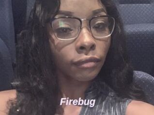 Firebug