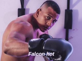 Falcon_hot