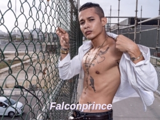 Falconprince