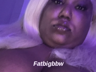 Fatbigbbw