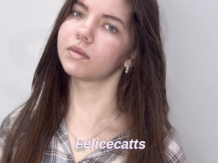 Felicecatts