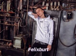 Felixburt