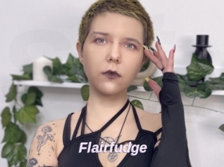 Flairfudge