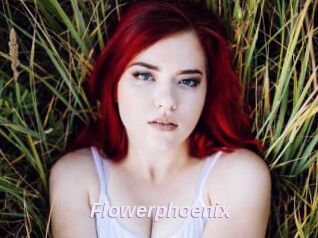 Flowerphoenix