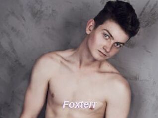 Foxterr