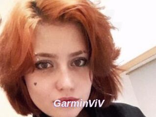 GarminViV