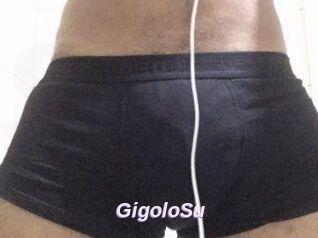 GigoloSu