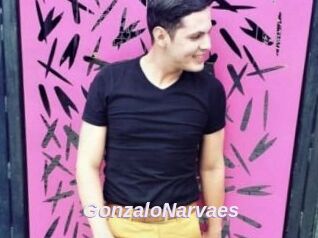 GonzaloNarvaes