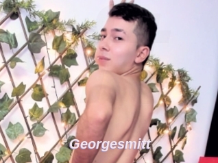 Georgesmitt