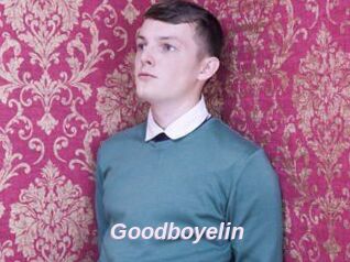 Goodboyelin