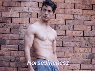 Horse9inchesz