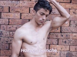 Horsenineinche