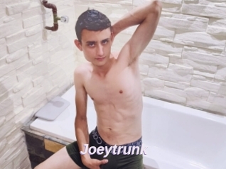 Joeytrunk