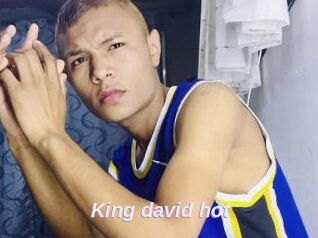 King_david_hot