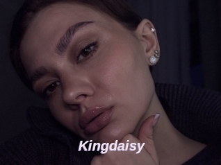 Kingdaisy