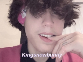 Kingsnowbunny