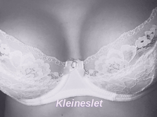 Kleineslet