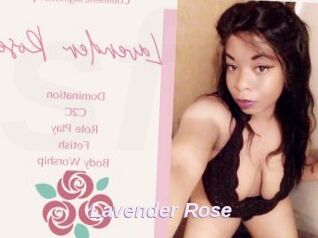 Lavender_Rose