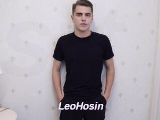 LeoHosin