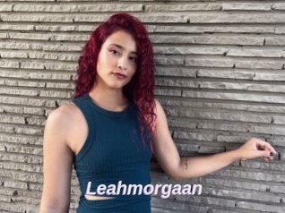 Leahmorgaan