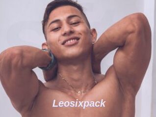 Leosixpack