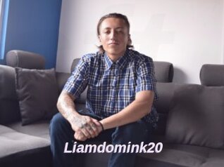 Liamdomink20