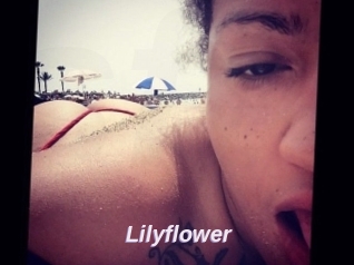 Lilyflower