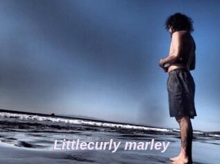 Littlecurly_marley