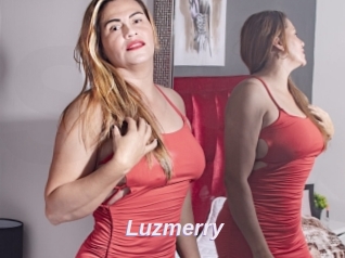 Luzmerry