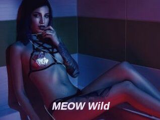 MEOW_Wild