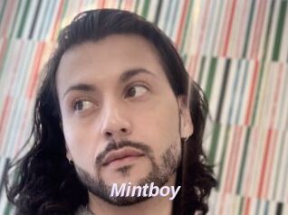 Mintboy