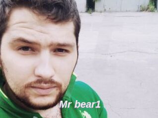 Mr_bear1