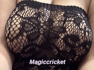 Magiccricket