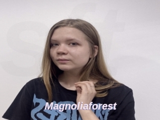 Magnoliaforest