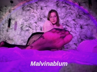 Malvinablum