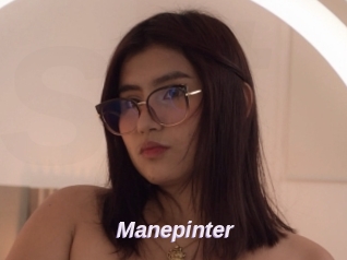 Manepinter