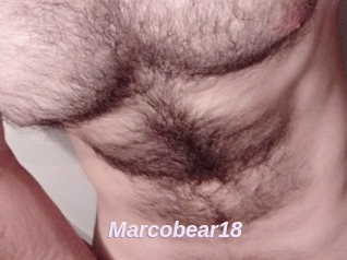 Marcobear18