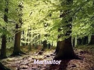 Martiaitor