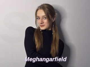 Meghangarfield