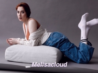 Melisacloud